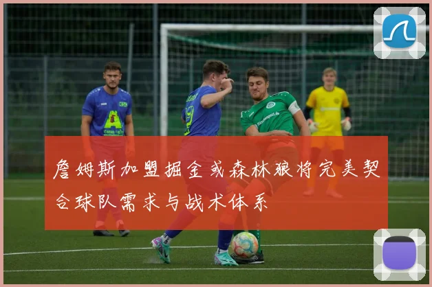 詹姆斯加盟掘金或森林狼将完美契合球队需求与战术体系
